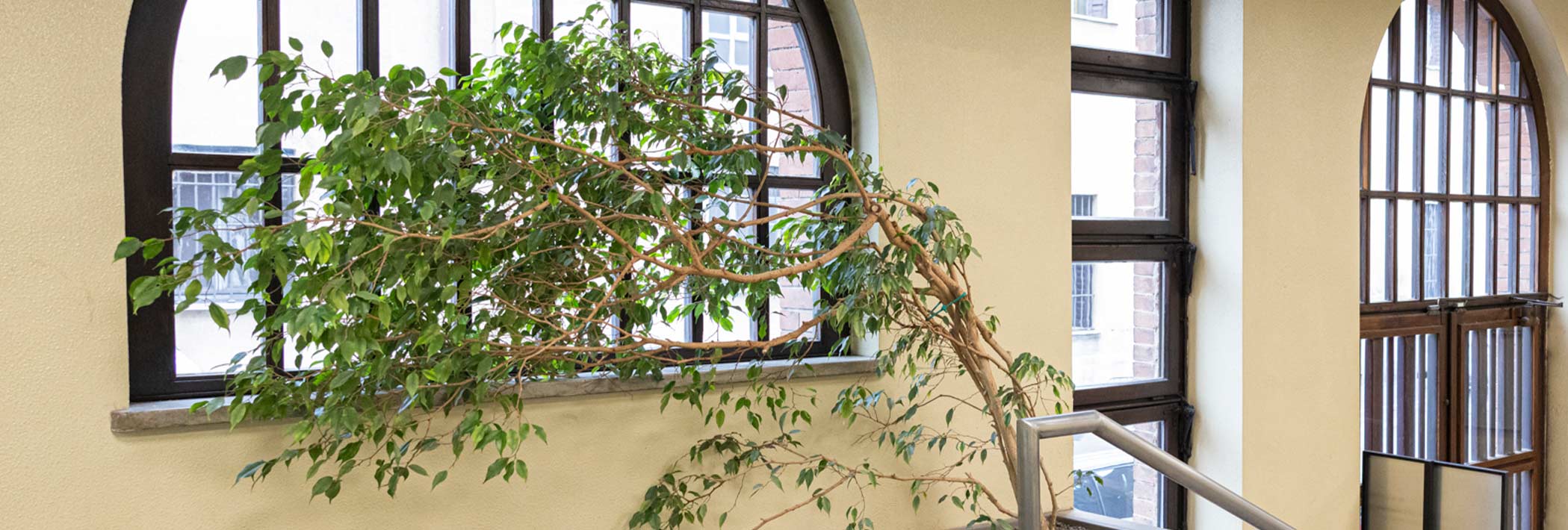 Department of Interior